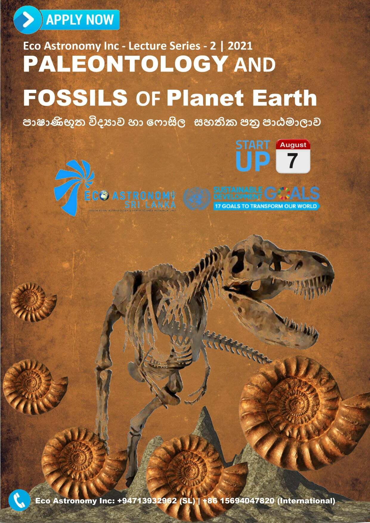 Palaeontology And Fossils Of Planet Earth - Eco Astronomy