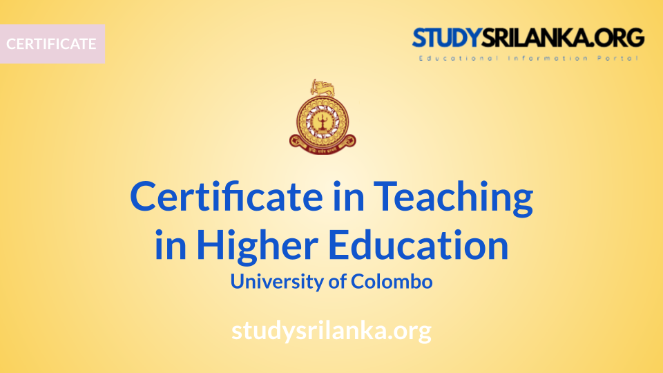 Certificate In Teaching In Higher Education UoC 2024   Featured Images New LOGO 2023 11 22T223840.111 